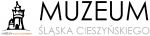 Noc Muzeów w Muzeum Śląska Cieszyńskiego